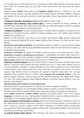 Teorija tarptautinės ekonomikos egzaminui 13 puslapis