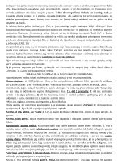 Teorija tarptautinės ekonomikos egzaminui 14 puslapis