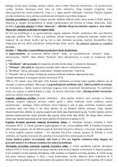 Teorija tarptautinės ekonomikos egzaminui 17 puslapis