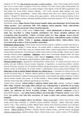 Teorija tarptautinės ekonomikos egzaminui 19 puslapis