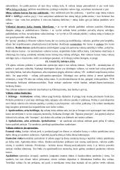 Teorija tarptautinės ekonomikos egzaminui 20 puslapis