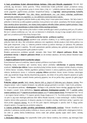 Teorija tarptautinės ekonomikos egzaminui 3 puslapis