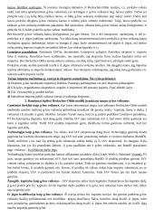 Teorija tarptautinės ekonomikos egzaminui 5 puslapis