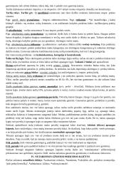 Teorija tarptautinės ekonomikos egzaminui 7 puslapis