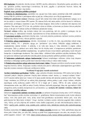 Teorija tarptautinės ekonomikos egzaminui 9 puslapis