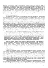 Tarptautinė ekonomika. Paskaitų kursas 12 puslapis