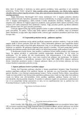 Tarptautinė ekonomika. Paskaitų kursas 7 puslapis