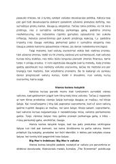 Tarptautinio verslo ekonominės aplinkos teorija 2 puslapis