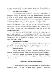 Tarptautinio verslo ekonominės aplinkos teorija 4 puslapis