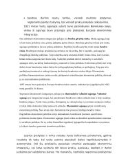 Tarptautinio verslo ekonominės aplinkos teorija 7 puslapis