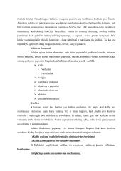 Tarptautinio verslo kultūrinė aplinka 2 puslapis