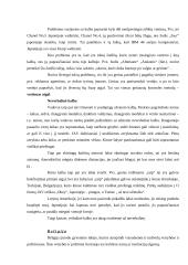 Tarptautinio verslo kultūrinė aplinka 3 puslapis