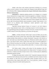 Tarptautinio verslo kultūrinė aplinka 4 puslapis