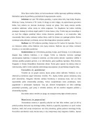 Tarptautinio verslo kultūrinė aplinka 5 puslapis