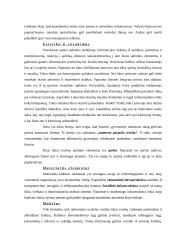 Tarptautinio verslo kultūrinė aplinka 6 puslapis