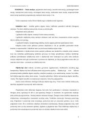 Teisės įvadas. Pasiruošimas egzaminui 2 puslapis