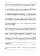 Teisės įvadas. Pasiruošimas egzaminui 13 puslapis