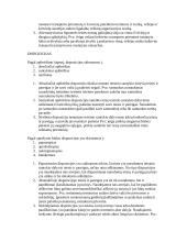  Teisės normos 4 puslapis