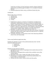  Teisės normos 5 puslapis