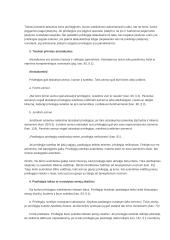 Bendrai apie teisę  19 puslapis