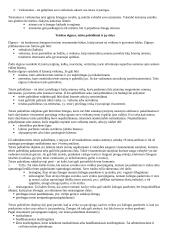 Socialinės normos ir teisės normos 13 puslapis