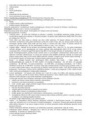 Socialinės normos ir teisės normos 19 puslapis