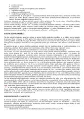 Socialinės normos ir teisės normos 20 puslapis