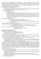 Socialinės normos ir teisės normos 4 puslapis