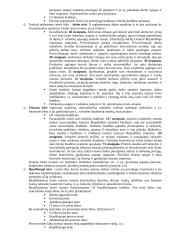 Socialinės normos ir teisės normos 6 puslapis