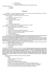 Socialinės normos ir teisės normos 7 puslapis