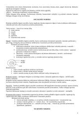 Teisės samprata ir teisės normos 2 puslapis