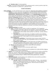 Teisės samprata ir teisės normos 11 puslapis