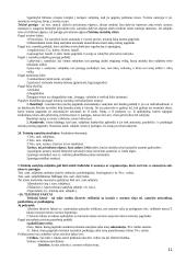 Teisė ir valstybė 11 puslapis