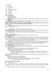 Teisė ir valstybė 13 puslapis