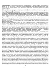 Teisės informatikos teorija 4 puslapis