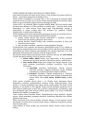 Teisės normų išraiška