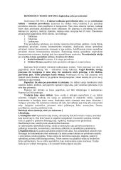 Teisės normų išraiška 3 puslapis