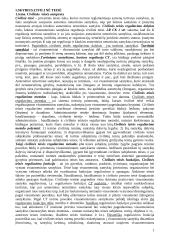 Gera teorija teisės pagrindams