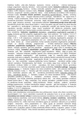 Gera teorija teisės pagrindams 12 puslapis