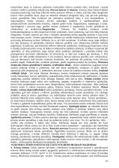 Gera teorija teisės pagrindams 19 puslapis