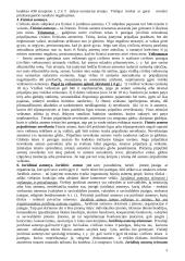 Gera teorija teisės pagrindams 5 puslapis