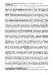 Gera teorija teisės pagrindams 10 puslapis