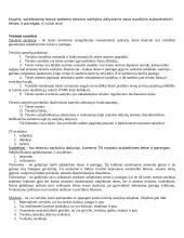 Teorija teisės teorijai 3 puslapis