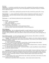 Teorija teisės teorijai 7 puslapis