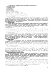 Paskaitų teorija: teisėsaugos organizavimo pagrindai 7 puslapis