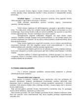 Teisinis reguliavimas - teorija 2 puslapis