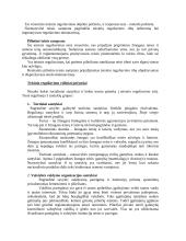 Teisinis reguliavimas - teorija 3 puslapis