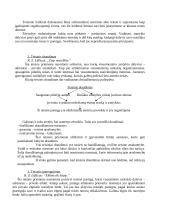 Teisinis reguliavimas - teorija 6 puslapis