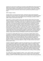 Tinklinės organizacijos 2 puslapis