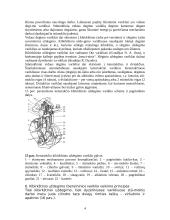 Transporto priemonių klasifikacija 4 puslapis